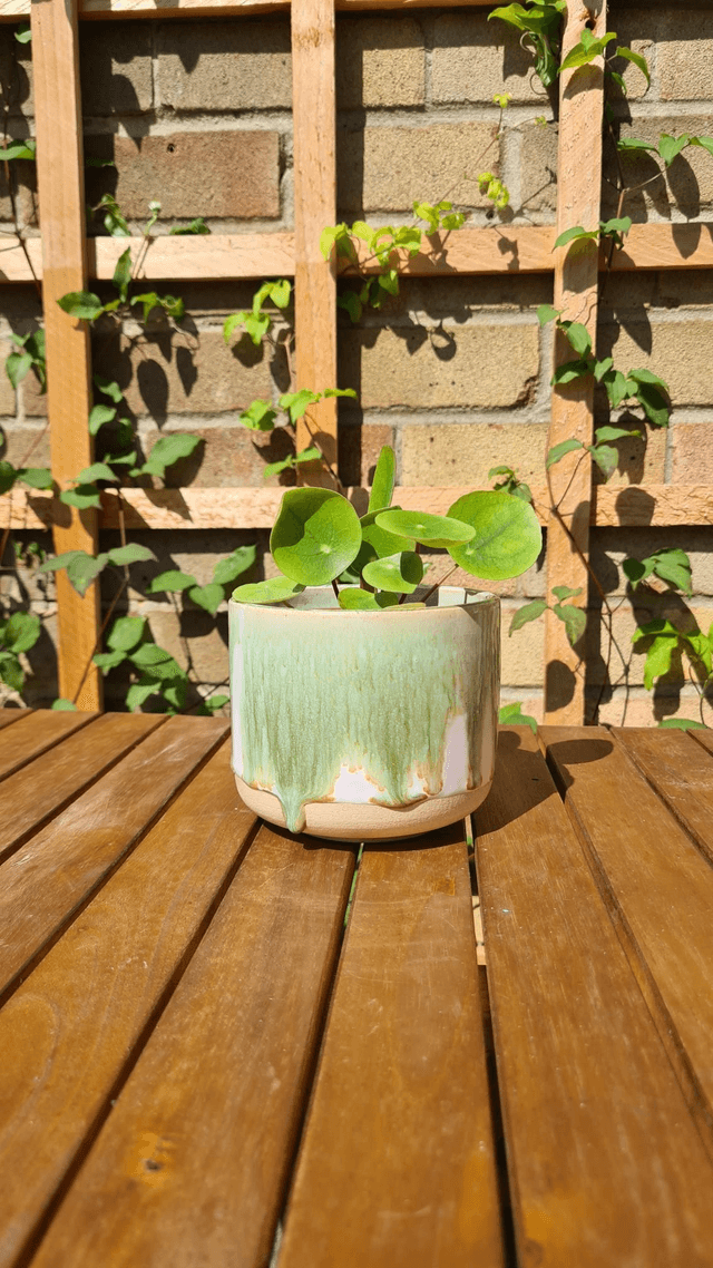Rounded Planter - Burning Sage