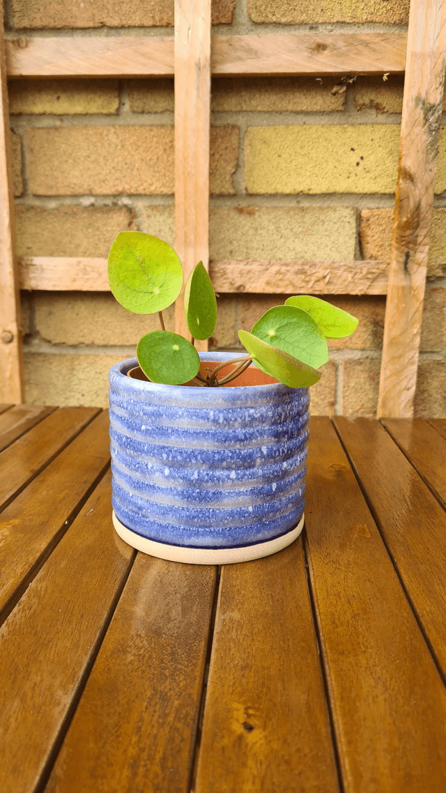Rumble Planter - Cornflower Blue